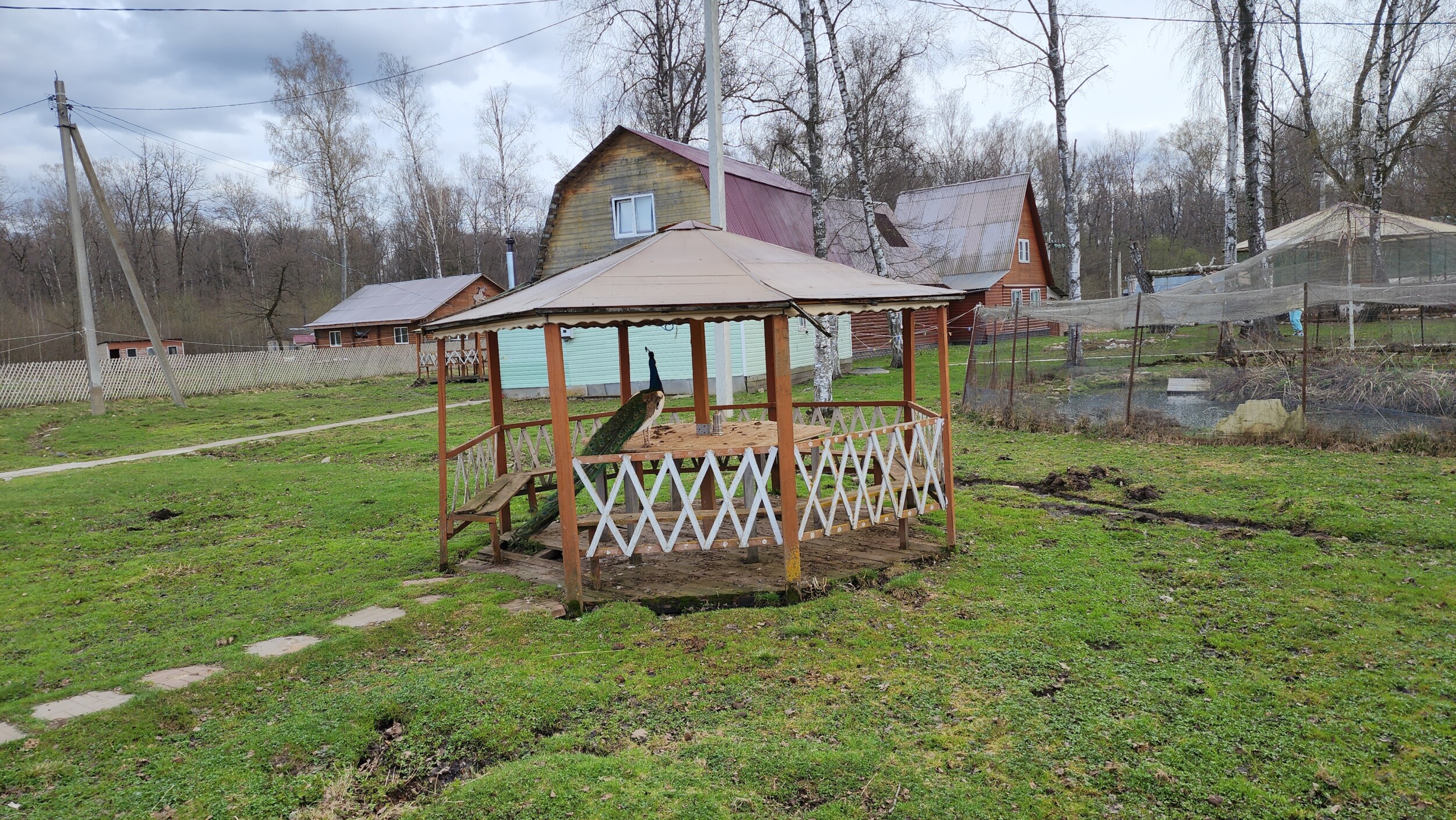 20240413_144109.jpg?resize=1536%2C865&ssl=1